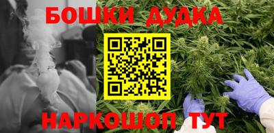 ALPHA PVP Бердск